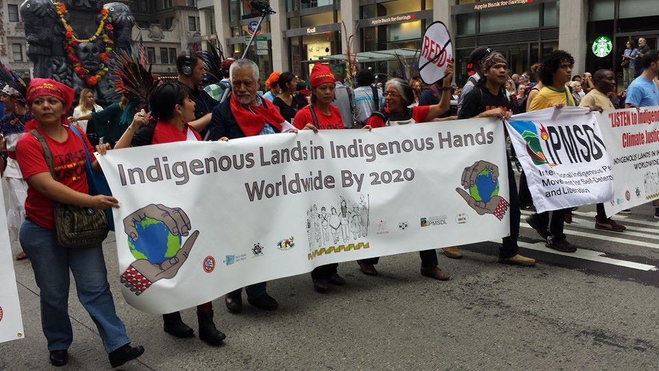 indigenous lands in indigenous hands