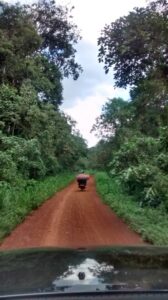 20150717-Jane-Uganda IMG_20150616_081838256_HDR