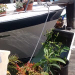 Jane Sloane - Sausalito Boat Garden