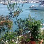 Jane Sloane - Sausalito Boat Garden